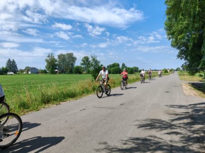 Zdjęcie 30 z 39