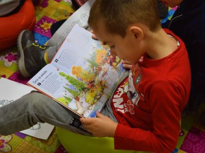 Zdjęcie 17 z 18