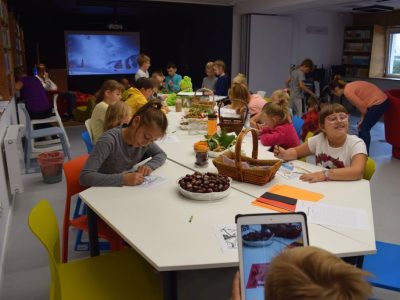 Zdjęcie 8 z 21