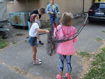 Zdjęcie 11 z 14