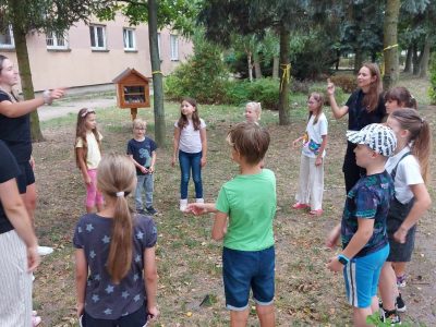 Zdjęcie 9 z 15