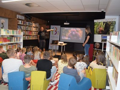 Zdjęcie 1 z 6