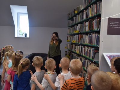 Zdjęcie 10 z 12