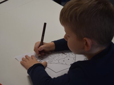 Zdjęcie 9 z 12