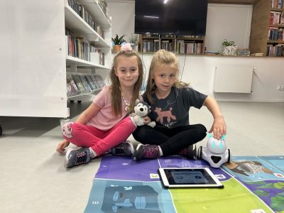 Zdjęcie 16 z 21