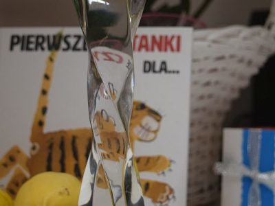 Zdjęcie 5 z 6