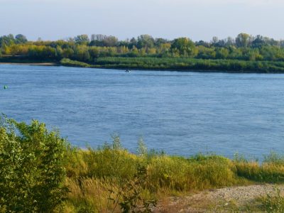 Zdjęcie 15 z 15