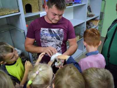 Zdjęcie 3 z 24